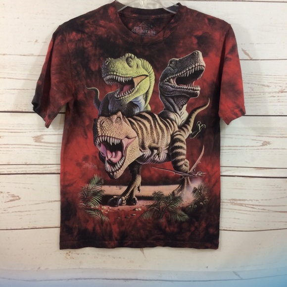 Boys Vintage The Mountain Dinosaur Tee 
